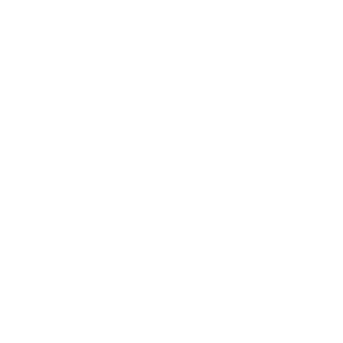 Capital Ortho Logo