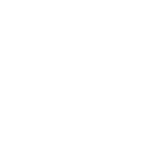 New Orleans Louisiana Shoulder Institute Logo